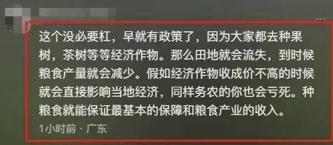 茶叶被阻拦？镇政府回应后我选择支持AG真人国际风波又起！广西农户种植(图1)