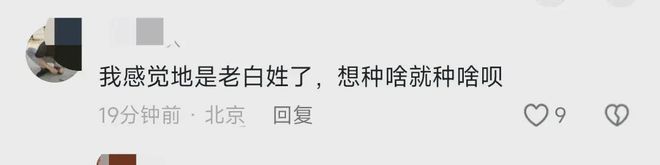 植茶树网民集体力挺事态引发关注!AG真人国际广西镇政府阻拦农户种