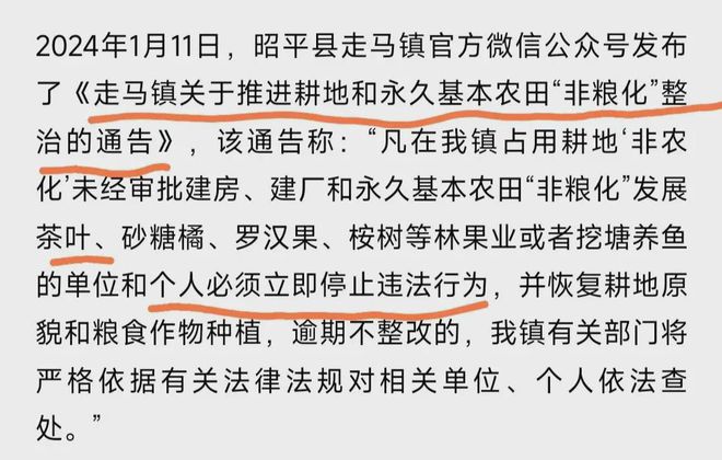 植茶树网民集体力挺事态引发关注!AG真人国际广西镇政府阻拦农户种(图3)