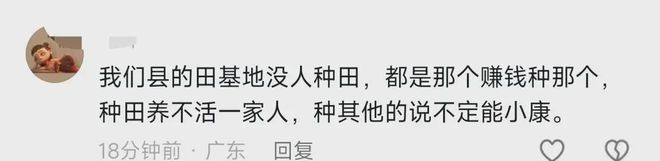 植茶树网民集体力挺事态引发关注!AG真人国际广西镇政府阻拦农户种(图10)